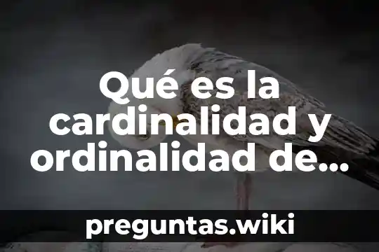 Qué es la cardinalidad y ordinalidad de un número
