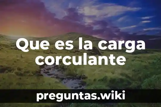 Que es la carga corculante