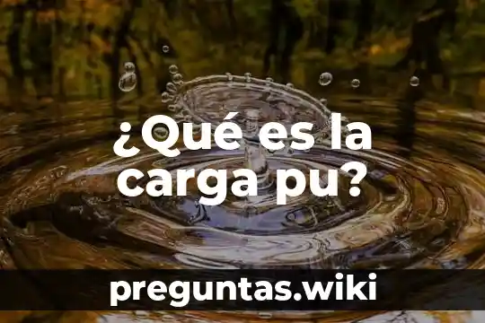 ¿Qué es la carga pu?