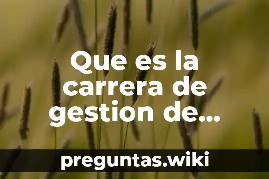 Que es la carrera de gestion de proyectos