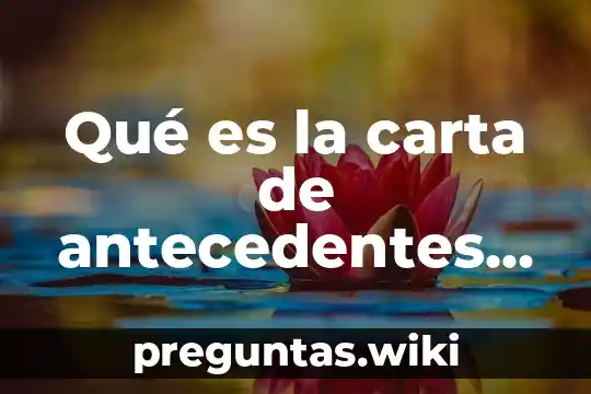 Qué es la carta de antecedentes no penales