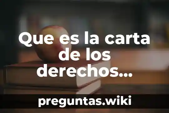 Que es la carta de los derechos humanos y laborales