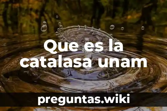 Que es la catalasa unam