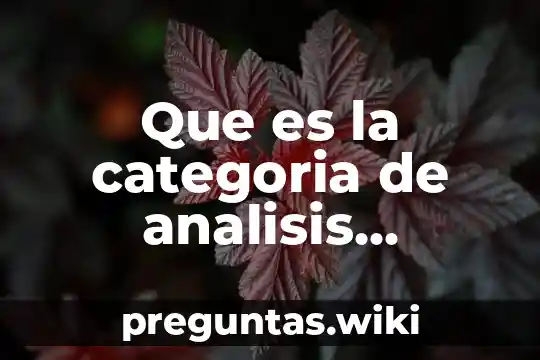 Que es la categoria de analisis espacial mas apropiadas
