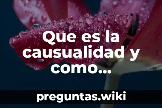 Que es la causualidad y como modificar el modelo biologico