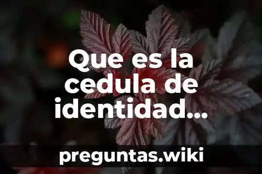 Que es la cedula de identidad personal