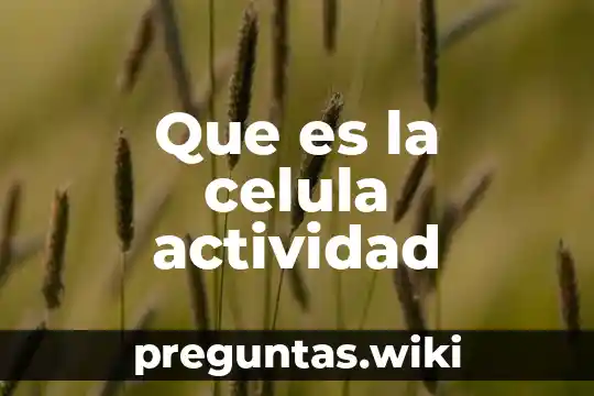 Que es la celula actividad