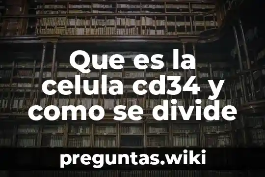 Que es la celula cd34 y como se divide