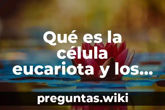 Qué es la célula eucariota y los seres vivos