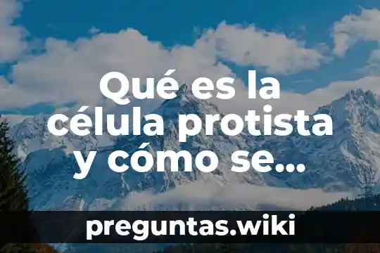 Qué es la célula protista y cómo se divide
