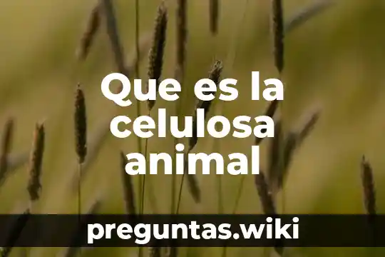 Que es la celulosa animal