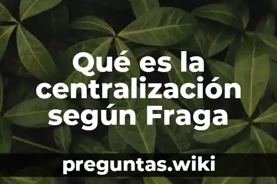Qué es la centralización según Fraga