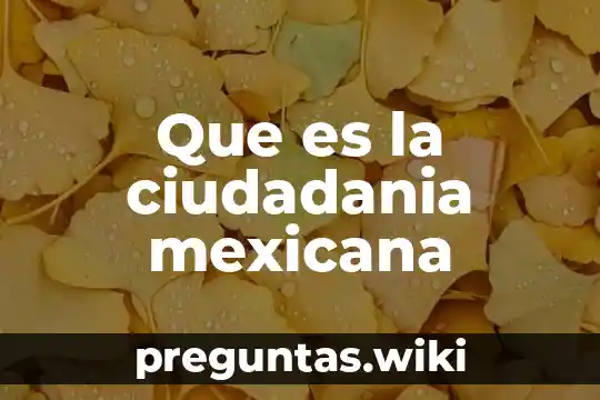 Que es la ciudadania mexicana