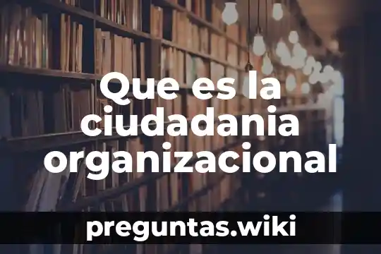 Que es la ciudadania organizacional