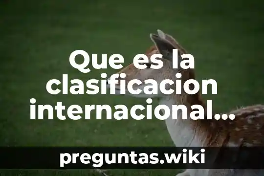 Que es la clasificacion internacional de niza