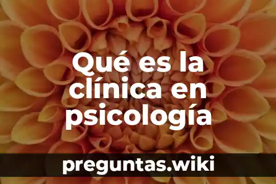 Qué es la clínica en psicología