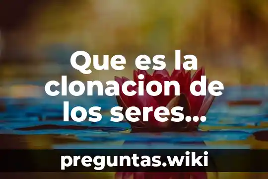 Que es la clonacion de los seres humanos