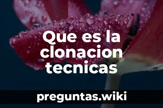 Que es la clonacion tecnicas