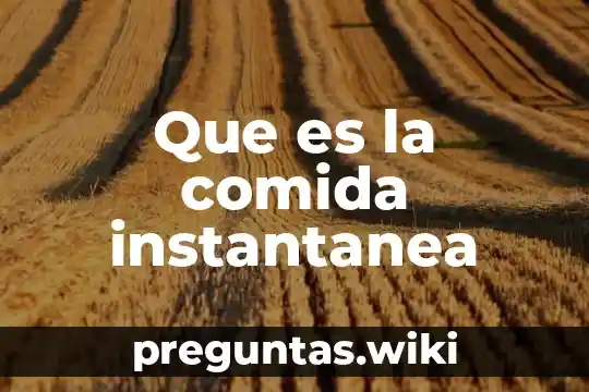 Que es la comida instantanea