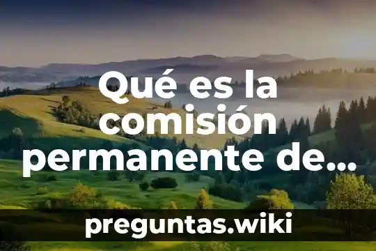Qué es la comisión permanente de enfermería