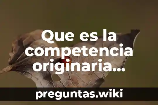 Que es la competencia originaria puede ser delegada