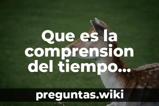 Que es la comprension del tiempo historico