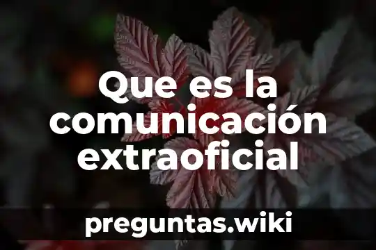 Que es la comunicación extraoficial