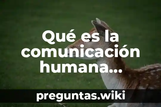 Qué es la comunicación humana concepto