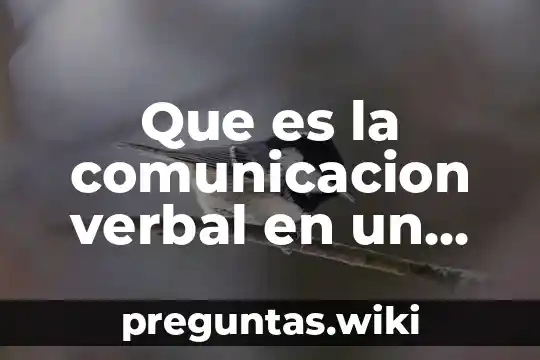 Que es la comunicacion verbal en un emprendedor