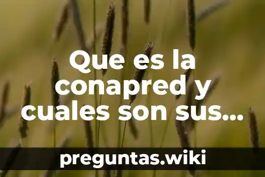 Que es la conapred y cuales son sus funciones