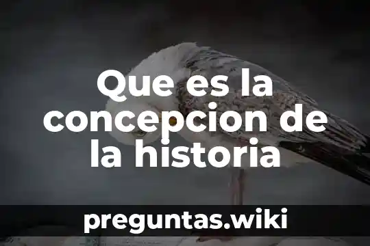 Que es la concepcion de la historia