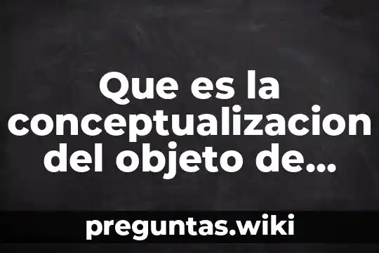 Que es la conceptualizacion del objeto de estudio