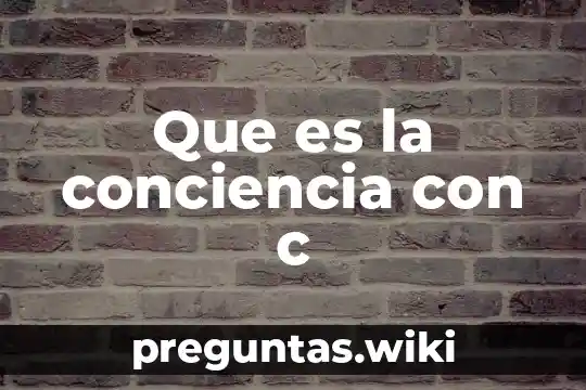 Que es la conciencia con c