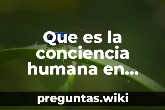 Que es la conciencia humana en filosofia