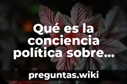 Qué es la conciencia política sobre la nanotecnología