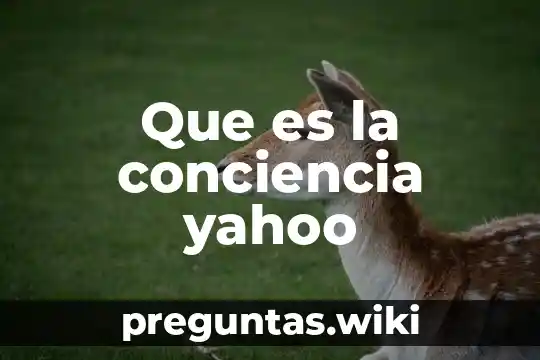 Que es la conciencia yahoo