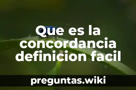Que es la concordancia definicion facil
