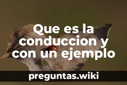 Que es la conduccion y con un ejemplo
