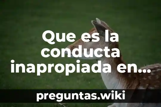 Que es la conducta inapropiada en la sociedad