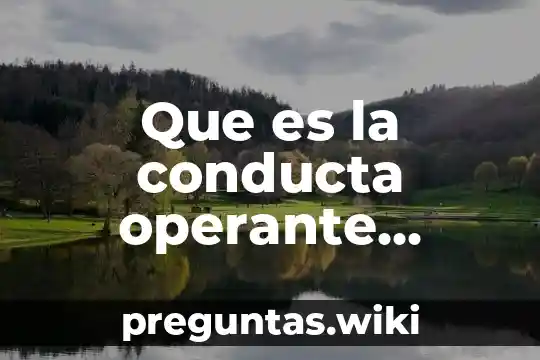 Que es la conducta operante segun pablo