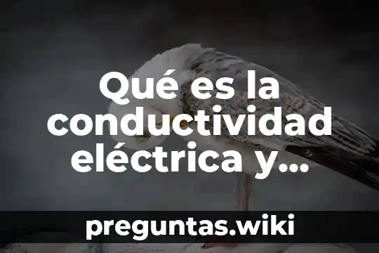 Qué es la conductividad eléctrica y cómo se mide