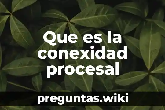 Que es la conexidad procesal