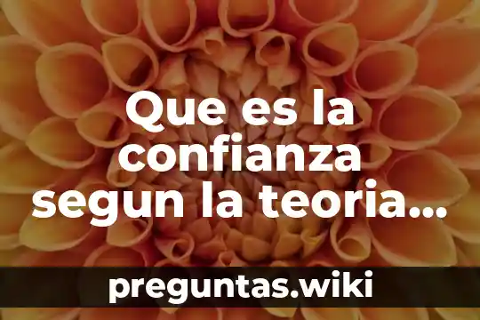 Que es la confianza segun la teoria critica