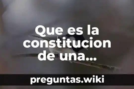 Que es la constitucion de una empresa ejemplo
