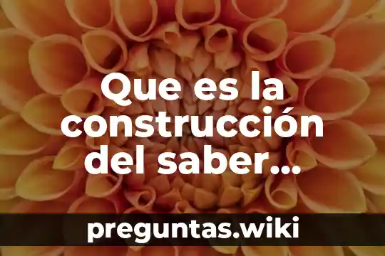 Que es la construcción del saber pedagógico