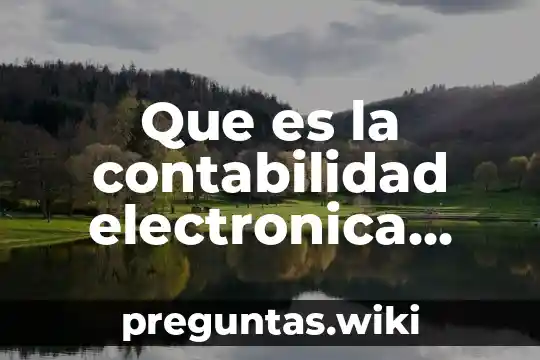 Que es la contabilidad electronica derecho fiscal sat