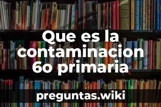 Que es la contaminacion 6o primaria