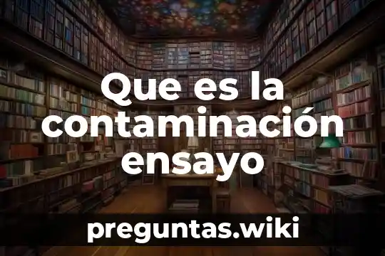 Que es la contaminación ensayo