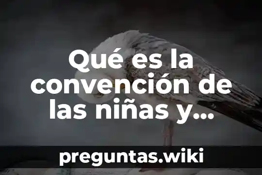 Qué es la convención de las niñas y niños