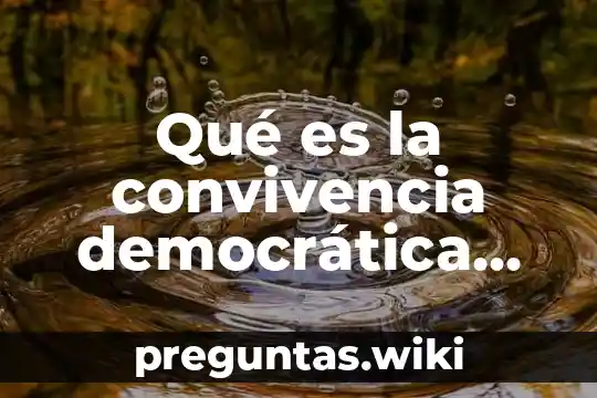 Qué es la convivencia democrática definición